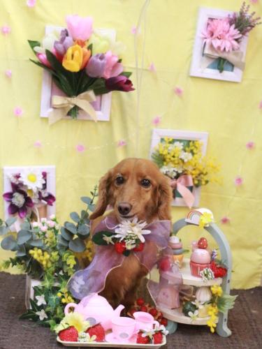 20230319しろくん